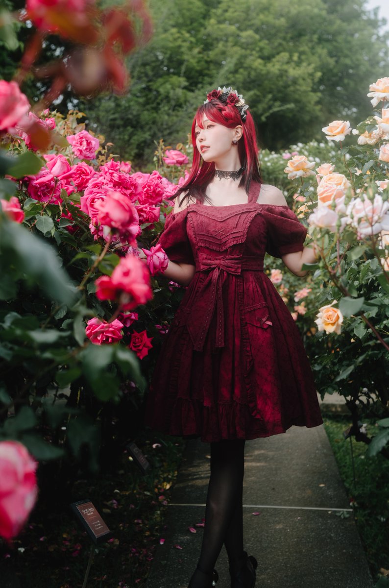 🌹
ベルベットローズ https://t.co/YgMkFUX0gh