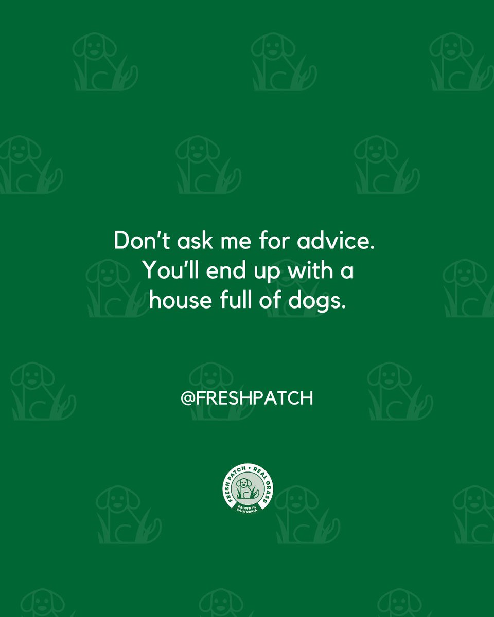 FreshPatch's tweet image. Because pets make everything better. 🐕️🐈️

#FreshPatch #DogLover #CatsLover