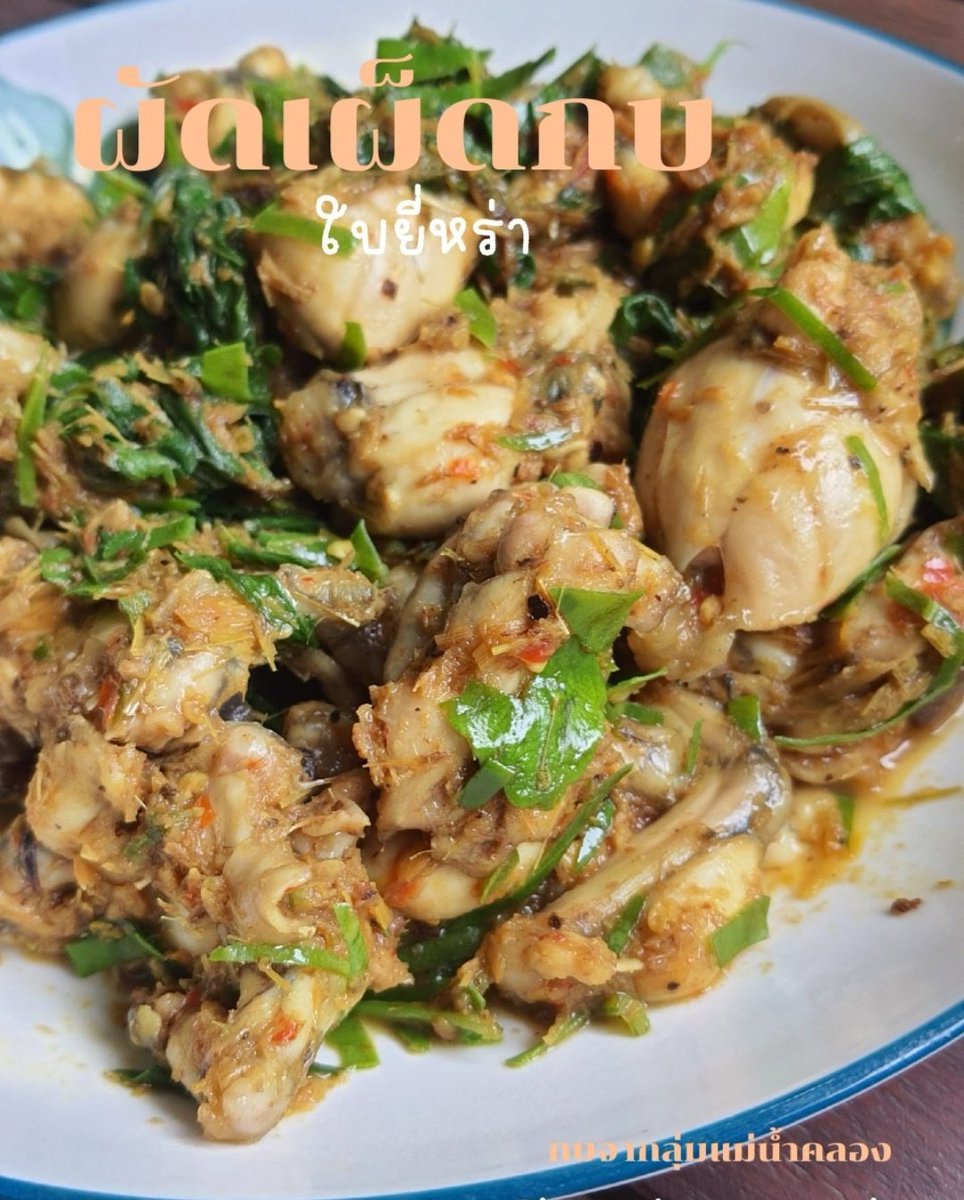 iikainuii's tweet image. เมื่อวานน้องเอากบมาให้ ถอดเสื้อมาเรียบร้อยแล้ว บ้านนี้ไม่กินหนังกบฮะ ทำใจไม่ได้🥲