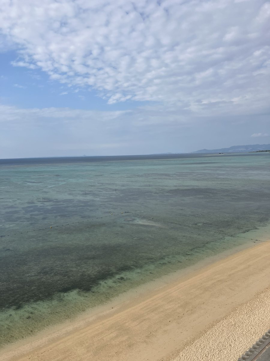 rikoneko716's tweet image. 人の想いも

海ほど

蒼くて

深くて

愛おしくて

海も

きみも

守りたい

#イラスト
#海の日

イラスト猫又多座🐈言葉莉艶子