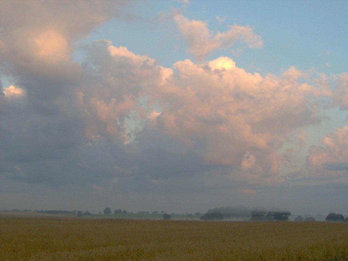 MachuraJerzy's tweet photo. Poranne rytmy 🌥️🎶 🎸
Lipcowy poranek, lipcowe mgły…, więc "July morning" ⛅️ 🎶 ☀️ ( 1 )
#Julymorning #goodmorning #July #UriahHeep #guitar #rockmusic #NaturePhotography
https://t.co/OvXpK4Rcx2
📷 (my) https://t.co/AEqelFhtRE