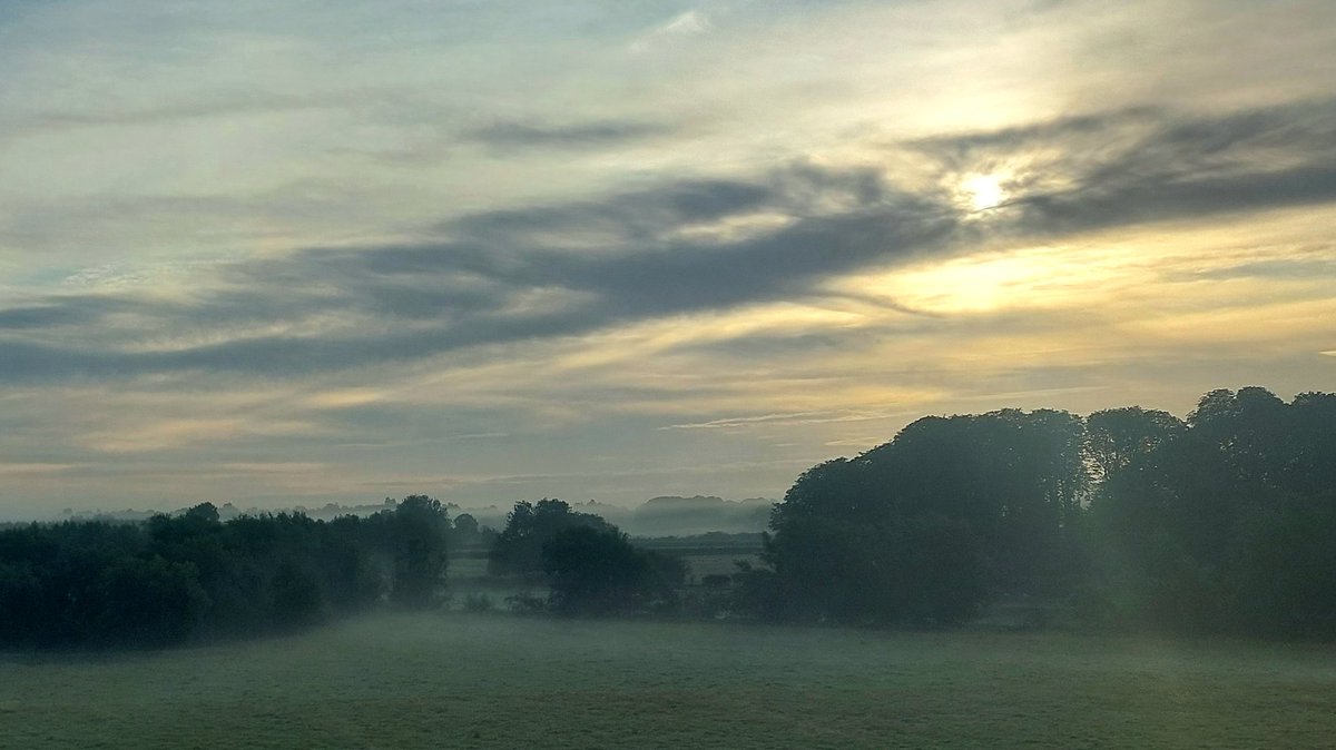 Somewhere near Haddenham
1h20 after sunrise. 15°C