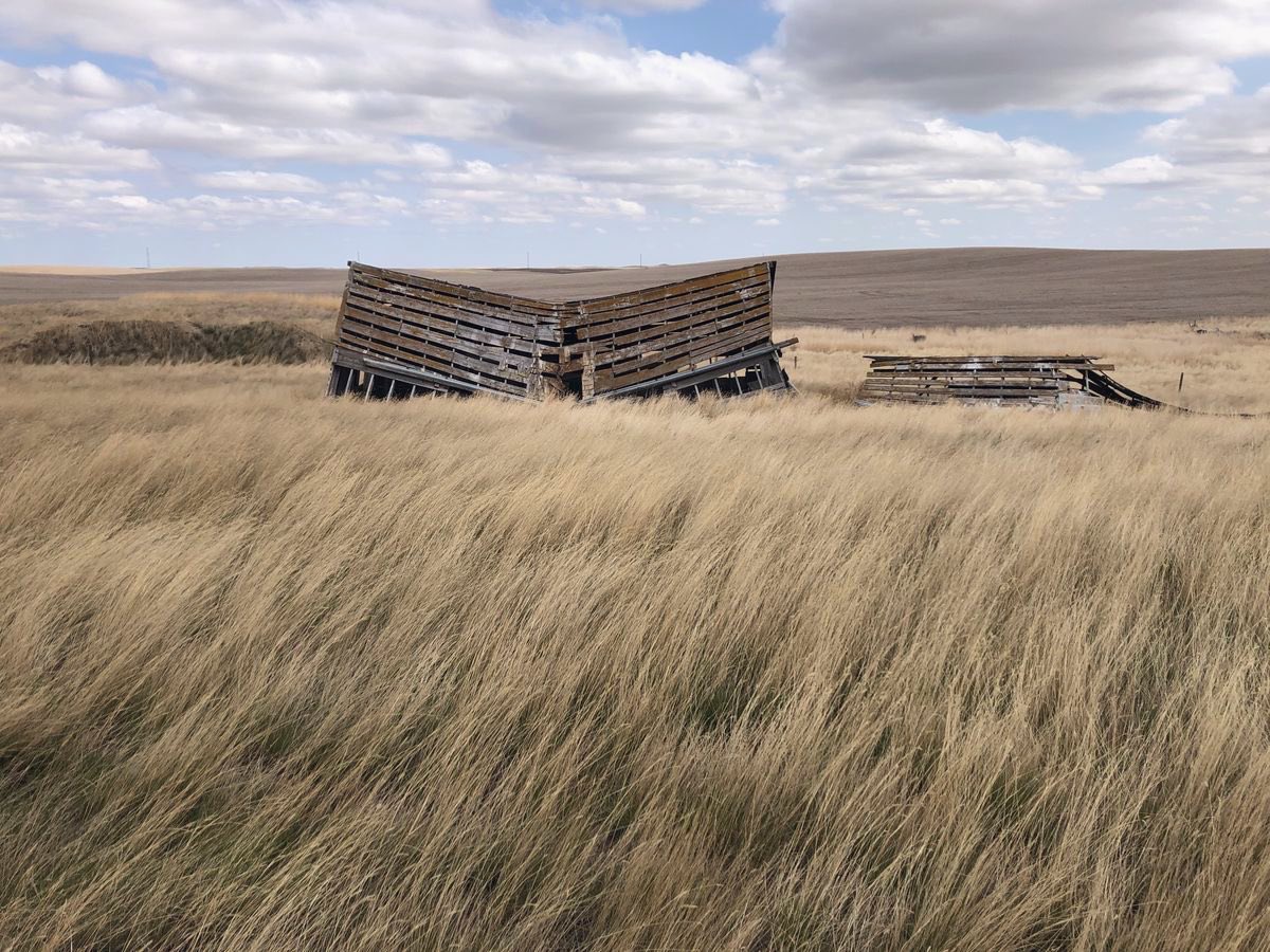 wiredphone's tweet image. There are so many forgotten buildings in Alberta lying quietly in some random beautiful field
