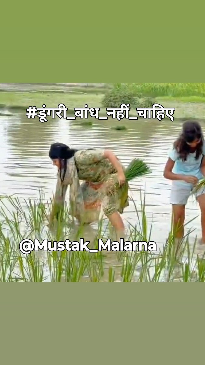 Mustak_Malarna's tweet image. जब तक भाजपा को वोट सपोर्ट करेंगे ऐसे ही गरीबों का शोषण होता रहेगा @Mustak_Malarna #डूंगरी_बांध_नहीं_चाहिए 
#StopDisplacement