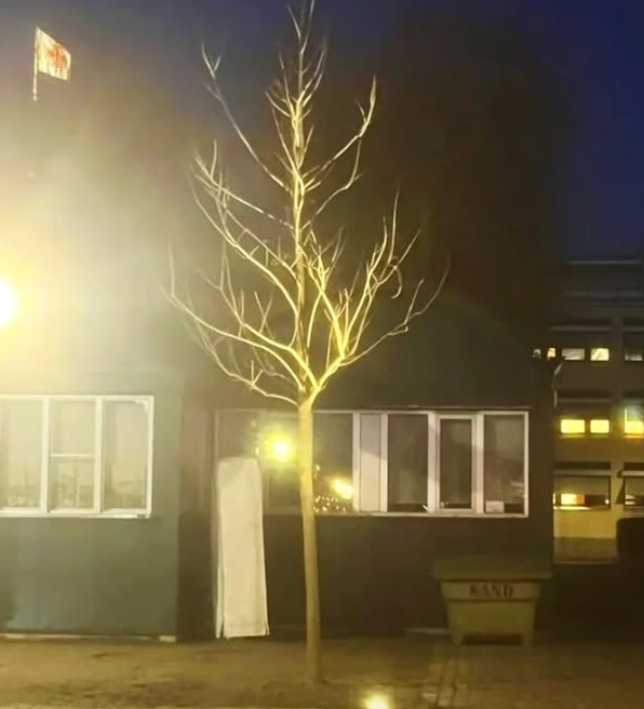 berserksouls (@berserksouls) on Twitter photo 