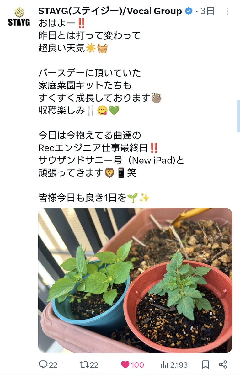 🍀🦥ありさꕤ︎︎·͜·福の民まる🦥🍀 on X: 
