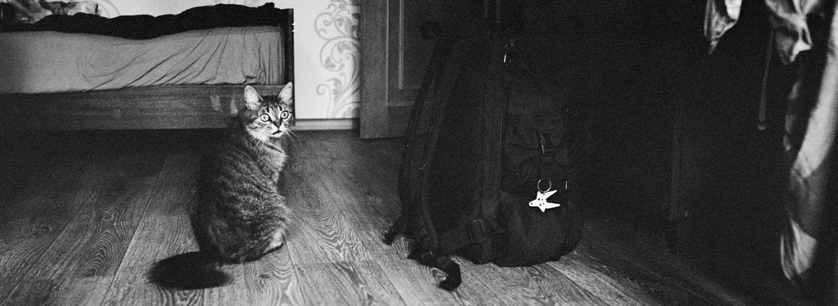 AeroHydroZephyr's tweet image. Wide again
Ilford xp2 (135)
Pentax 6x7 + SMC Takumar 6x7 55mm F3.5