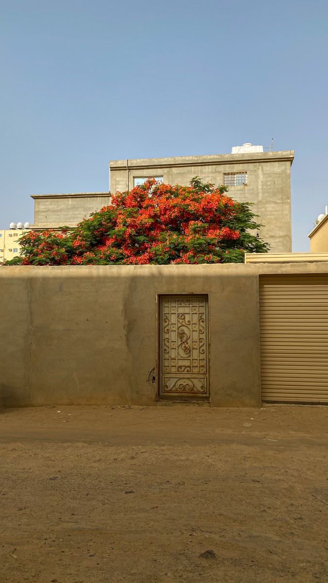 "لك الحمد مرارًا وتكرارًا، 
فأني أستظِلُّ بنعمك وكرمك عليَّ"♥️..
#صباح_الخير