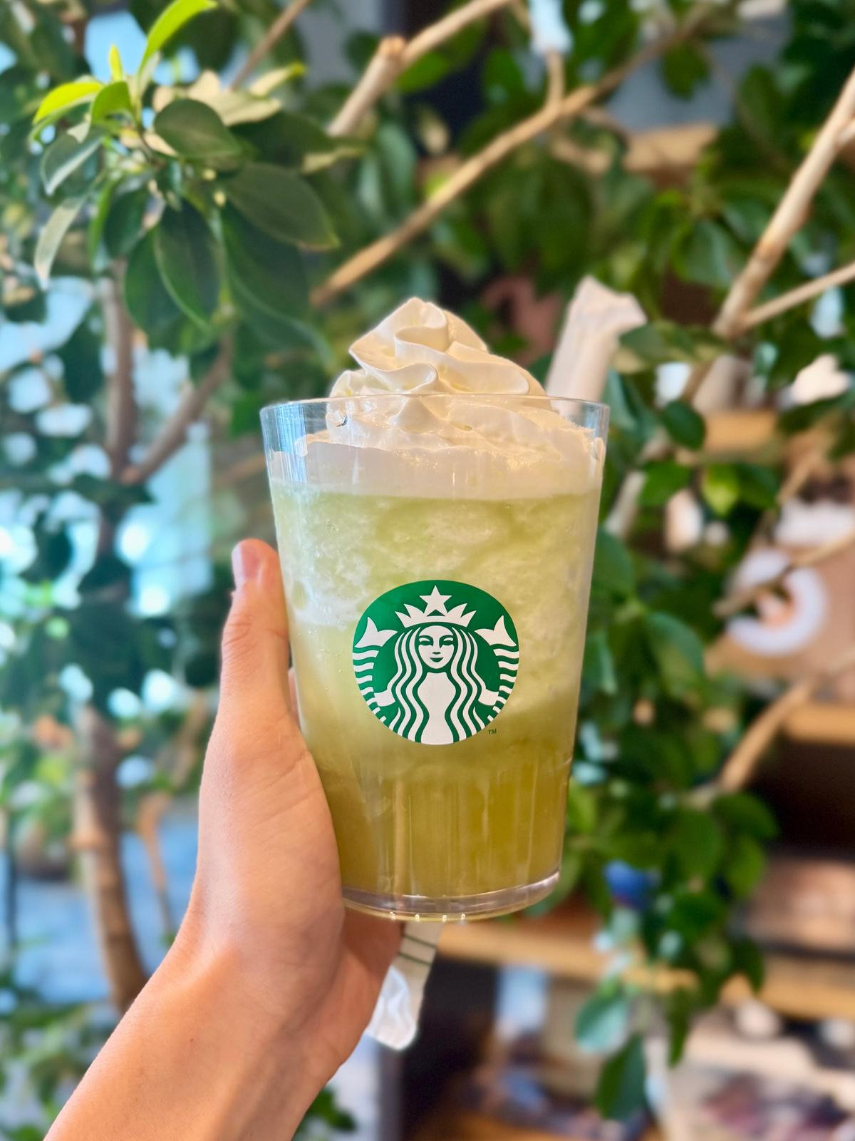 スターバックス！トレー３点セット❣️非売品！お値下げ❣️ 先行告知 ログイン｜スターバックス コーヒー ジャパン