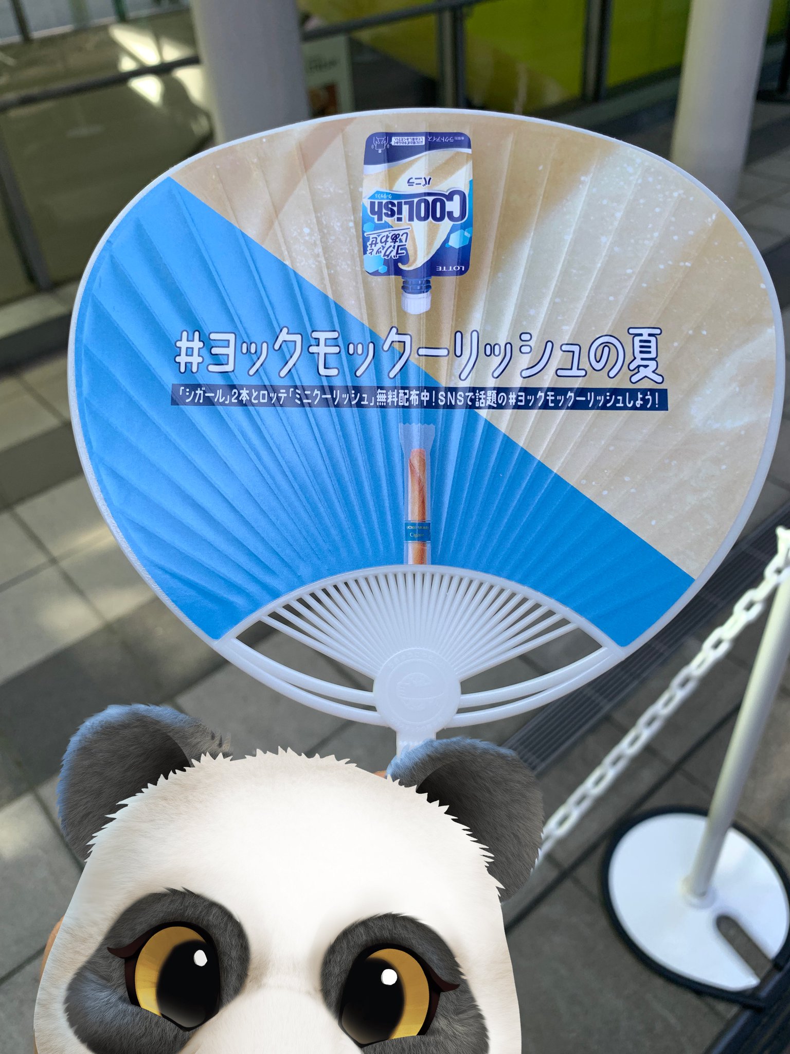 みっちゃん様　お打合せページ♪ 送料無料 メルちゃん お人形セット おせわだいすきメルちゃん