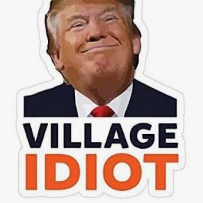 TRUMP IS A FELON‼️🇺🇸🇺🇸🇺🇸🇺🇸🇺🇸 tweet media