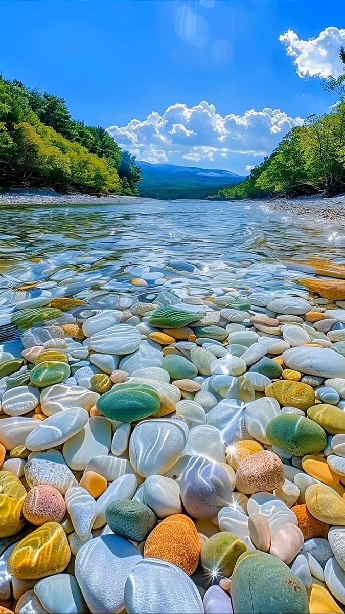 EjazGujjar55's tweet image. Have a nice day