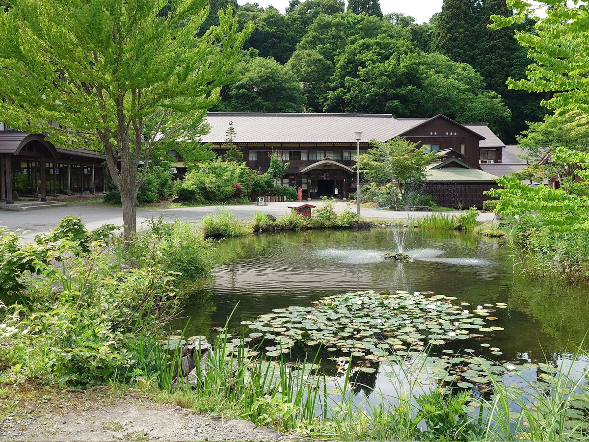 蔦温泉旅館、素晴らしい温泉&amp;お宿でした✨

#蔦温泉旅館 #青森