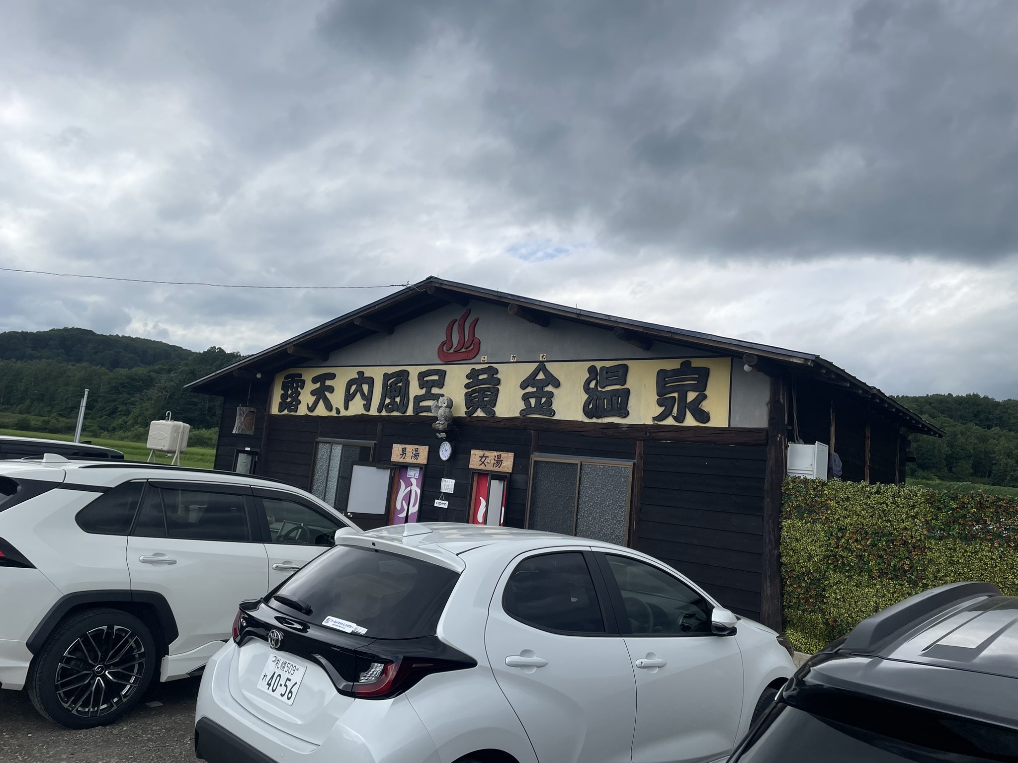 さかうさ 2点 2shaka-table-mountain-at-2025-