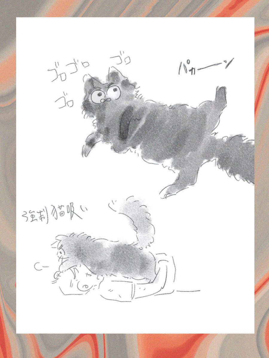 7️⃣🌲ネチコ化
お喋りネチコヤだったらめちゃくちゃ可愛い

⚠️私はイッヌしか飼ったことないです 