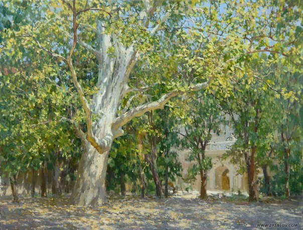 Катерина Галич tweet media