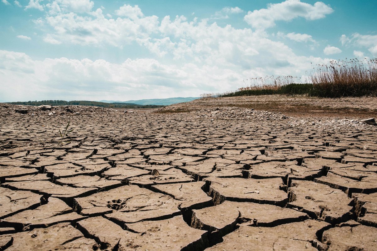 OneStopESG_'s tweet image. A July 2025 Northeastern University study predicts 40% of major river basins, like the Amazon and Nile, will face reduced runoff by 2100, risking water for 850M people. 

Read More: onestopesg.com/esg-news/dryin…

#WaterShortages #ClimateChange #RiverRunoff #Sustainability
