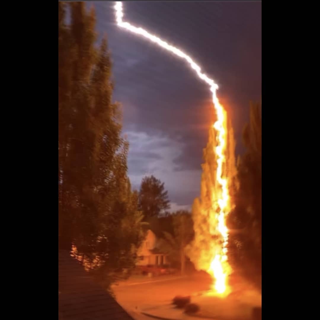 Thorgasm
