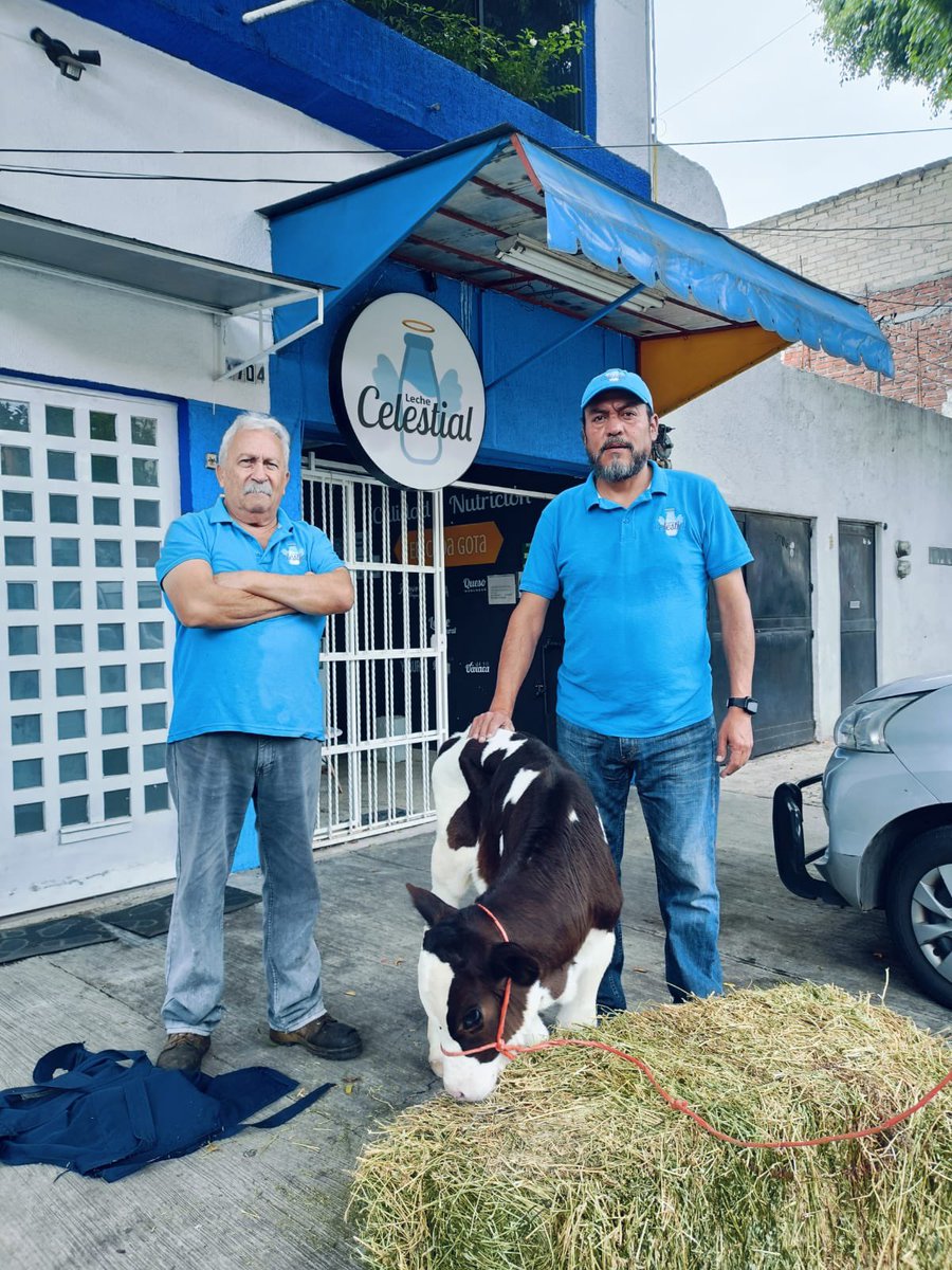 Celestial tweet media