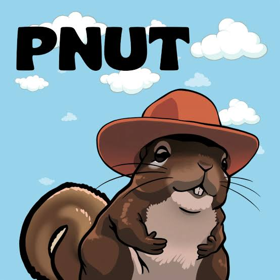 PnutSquirrelCTO's tweet photo. We are not stopping until we flip $Pnut on pumpfun. $Pnut is better in bonk. ❤️📷

🔗JOIN THE CHANNEL: 
📜CA: 2kkwPP6Y5v4aSteLo2R6uqmx3aQ6Veb1xDcRXHsNbonk https://t.co/vV3p7LE8Yx