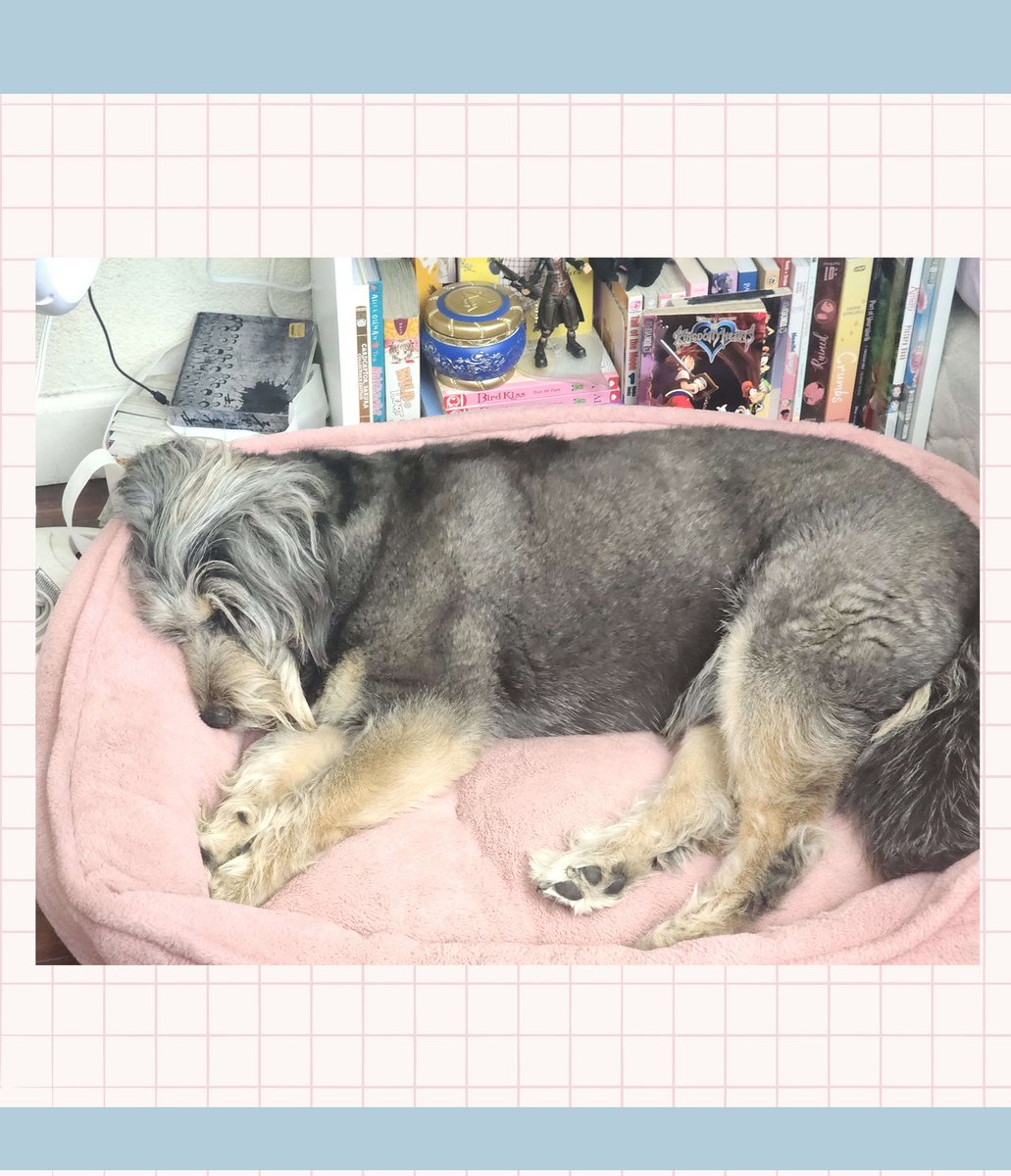 🌷✨Chai✨🌷 tweet media