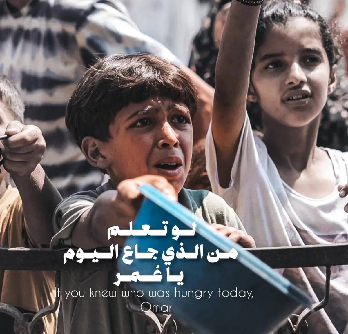 ملك الاحساس اليمني tweet media