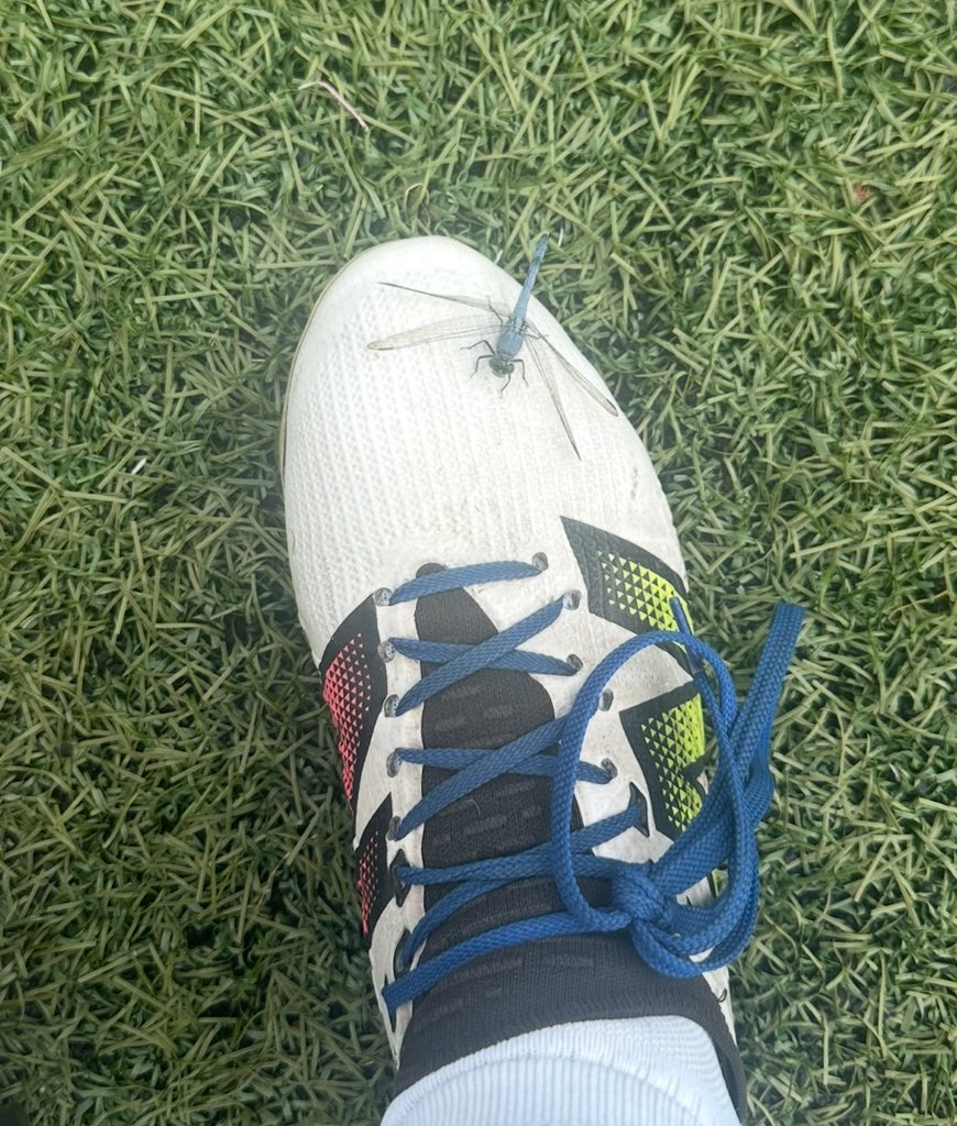 Agapi Kouvlis (2025) CAM/WM not committed yet tweet media