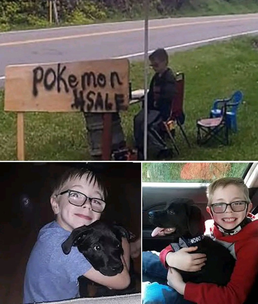fopminui's tweet image. He sold his whole Pokémon collection to save his best friend. 💔🐾
In May 2021, 8-year-old Bryson Kliemann noticed something was wrong.
His puppy Bruce — a black lab full of energy — was suddenly quiet.
Too tired to play. Too weak to eat. Hiding under the porch.
The diagnosis…