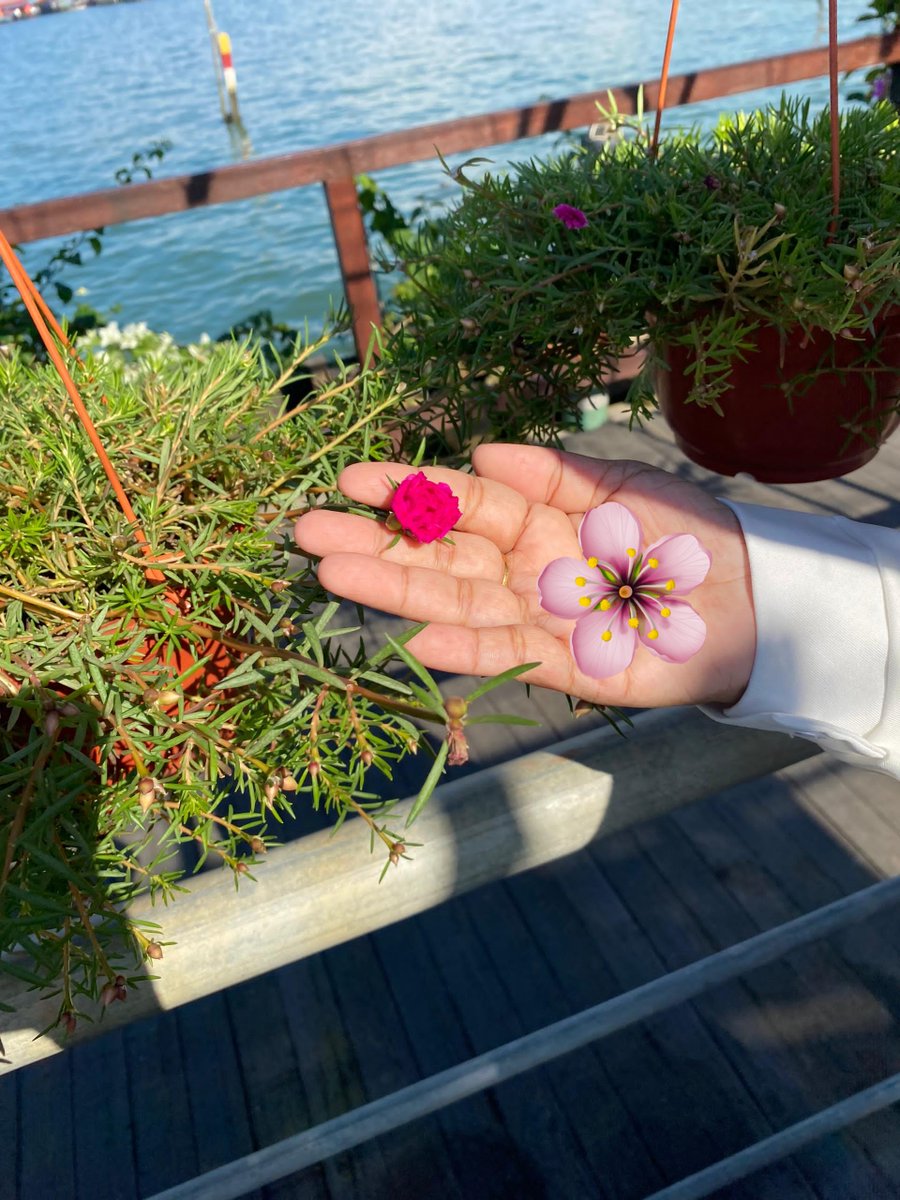 Mama Lisa tweet media