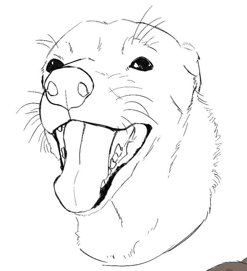 torakito's tweet image. sorry no new art recently we had to put my dogs to sleep on friday. hereβs some sketches i made of them but never finished around Christmas time