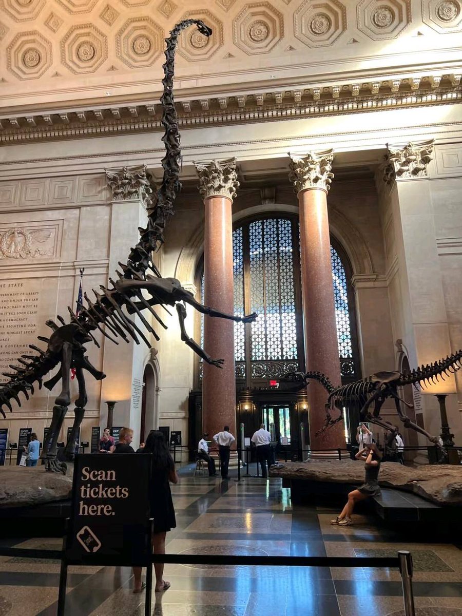 Simply_Leoniee's tweet image. Fascinating dinosaur skeletons in a grand museum hall, history frozen in time, educational and awe-inspiring, showcasing prehistoric life.#MuseumTour
