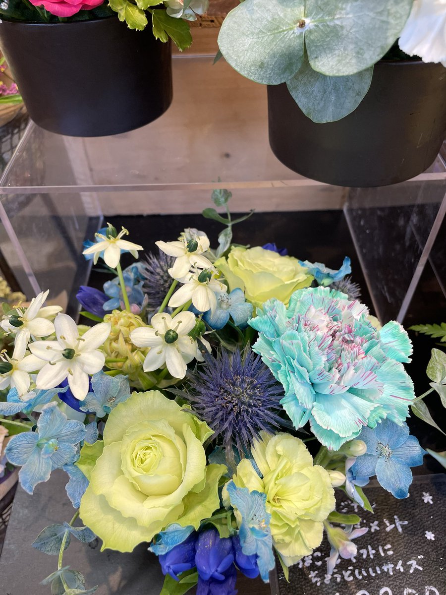 hana_toyo's tweet image. ちょっとした手土産に最適の
ハナトヨオリジナルアレンジはいかがですか？
2200円でこのボリューム💐
各色取り揃えてお待ちしております

#東伏見
#アレンジメント