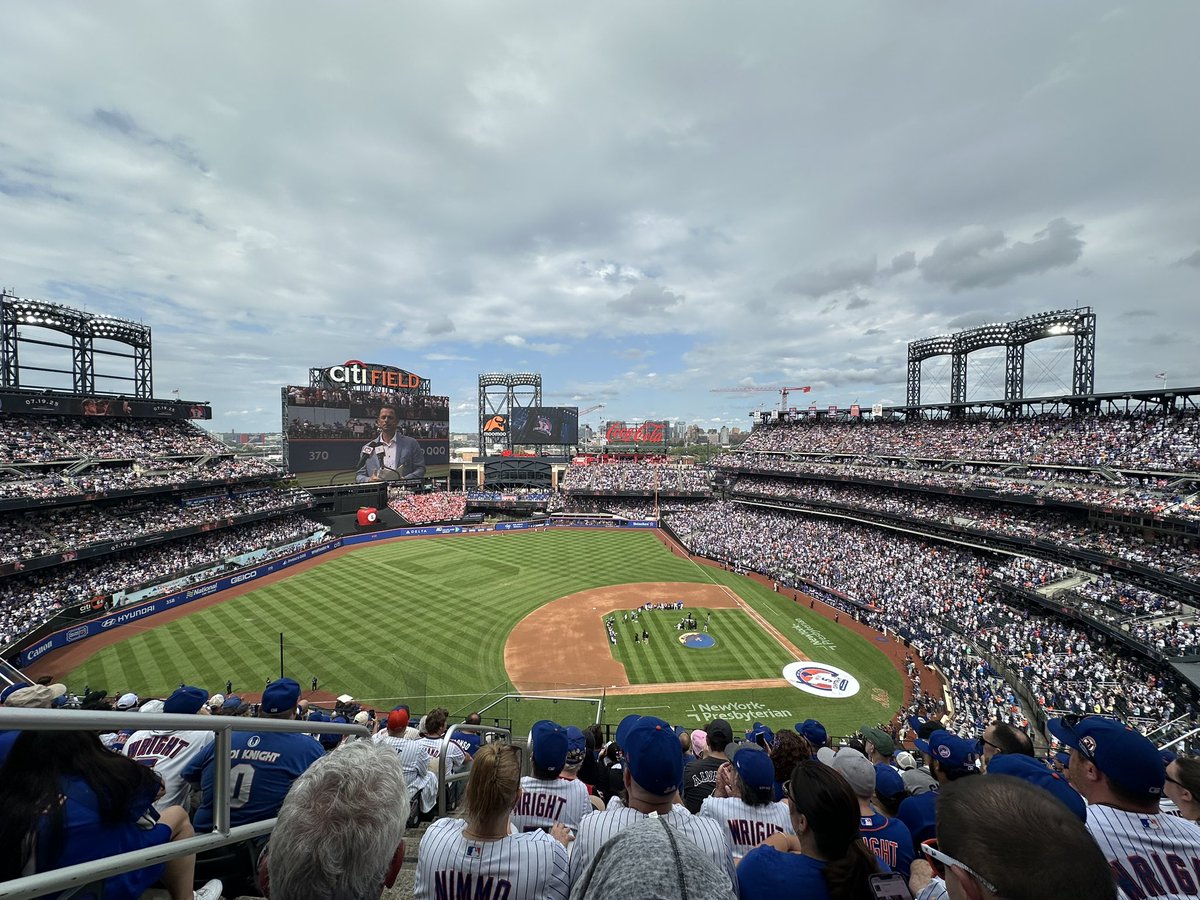 Stephanie Dutton tweet media