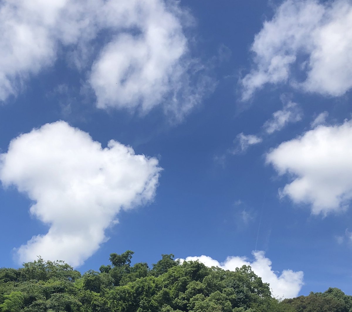 kazama_mm's tweet photo. 今日がオナニー(721)の日だということを知っていた皆は室内で気兼ねなくオナニーできる。一方、屋外で今その事実を知った自分は屋外でオナニーするしかない。でも、優柔不断だから屋外オナニーに踏み切れない。

悔しい。

自分のクオリアに対しての責任は、自分でしかとることができないというのに。 https://t.co/B6Mo7dykHb