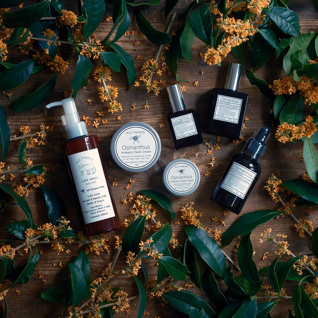 秋季数量限定＞ #07 Osmanthus 〔オスマンサス〕 黄色く小さな花が印象
