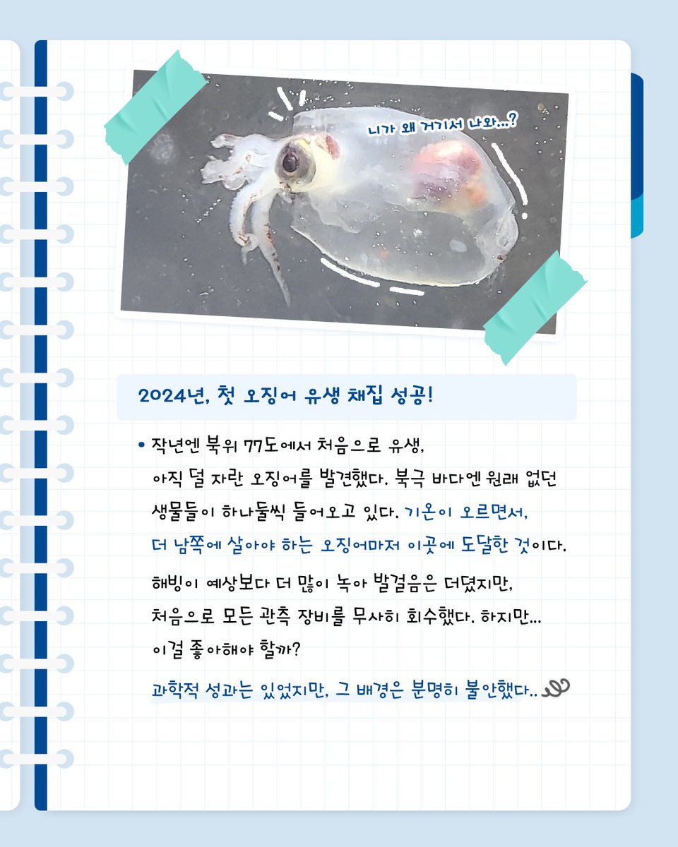 kopripr's tweet image. 쇄빙선 아라온호 북극을 탐험하러 떠났다고 한다.
2009년 첫 북극항해 이후로 이번이 16번째였지
매번 새로운 북극,
특히 지난해는 오징어 발견이 날 놀라게 했는데..
이번에는 어떤 새로운 비밀을 찾아낼 수 있을까?