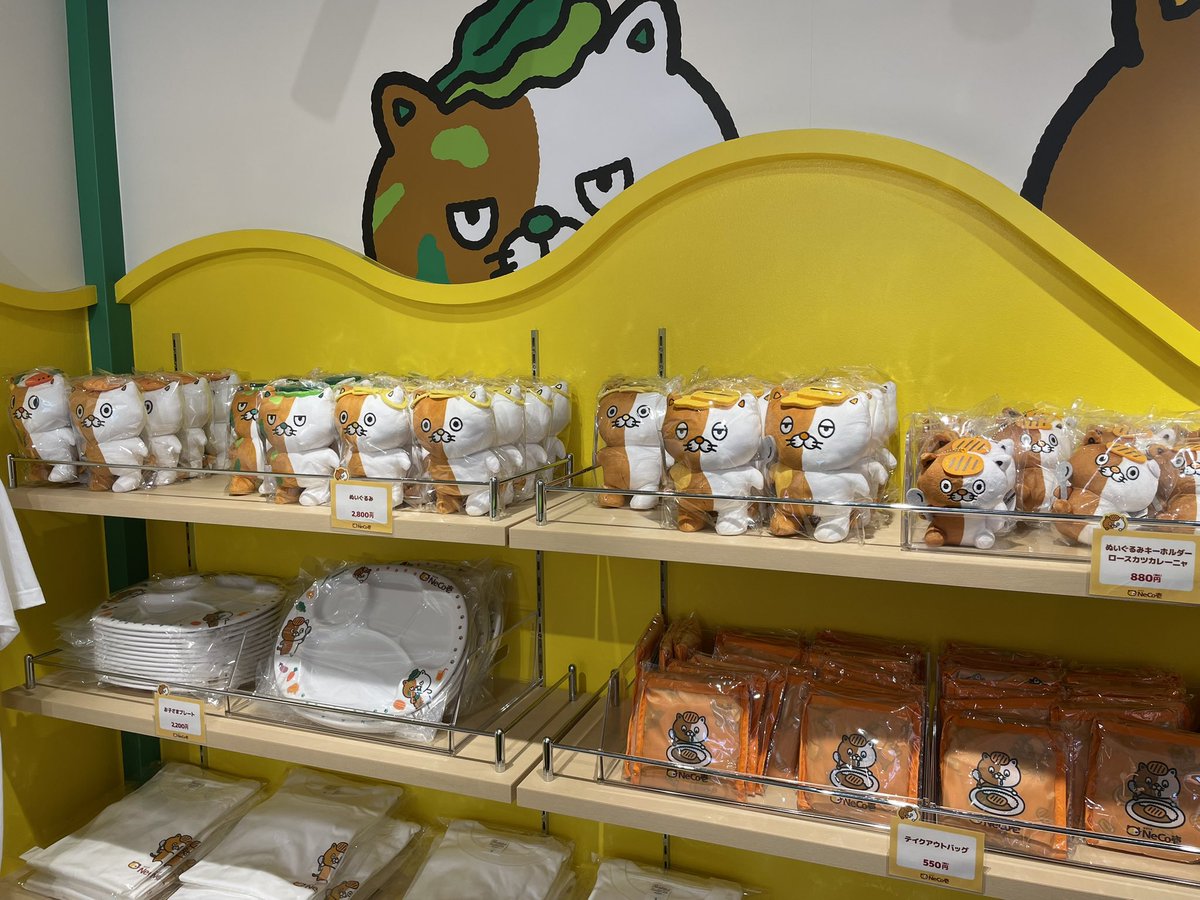 ＿＿＿＿◣＿∈∋＿◢＿＿＿ ⠀⠀⠀NeCo壱がいっぱいのお店