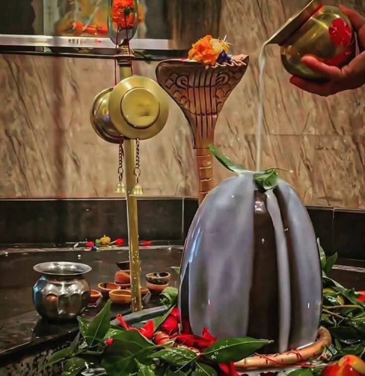 अंधेरा नहीं होता है उसके जीवन में,
जिनका सवेरा होता महादेव के दर्शन से।

 हर हर महादेव🔱🕉️🌺🌸 🙏