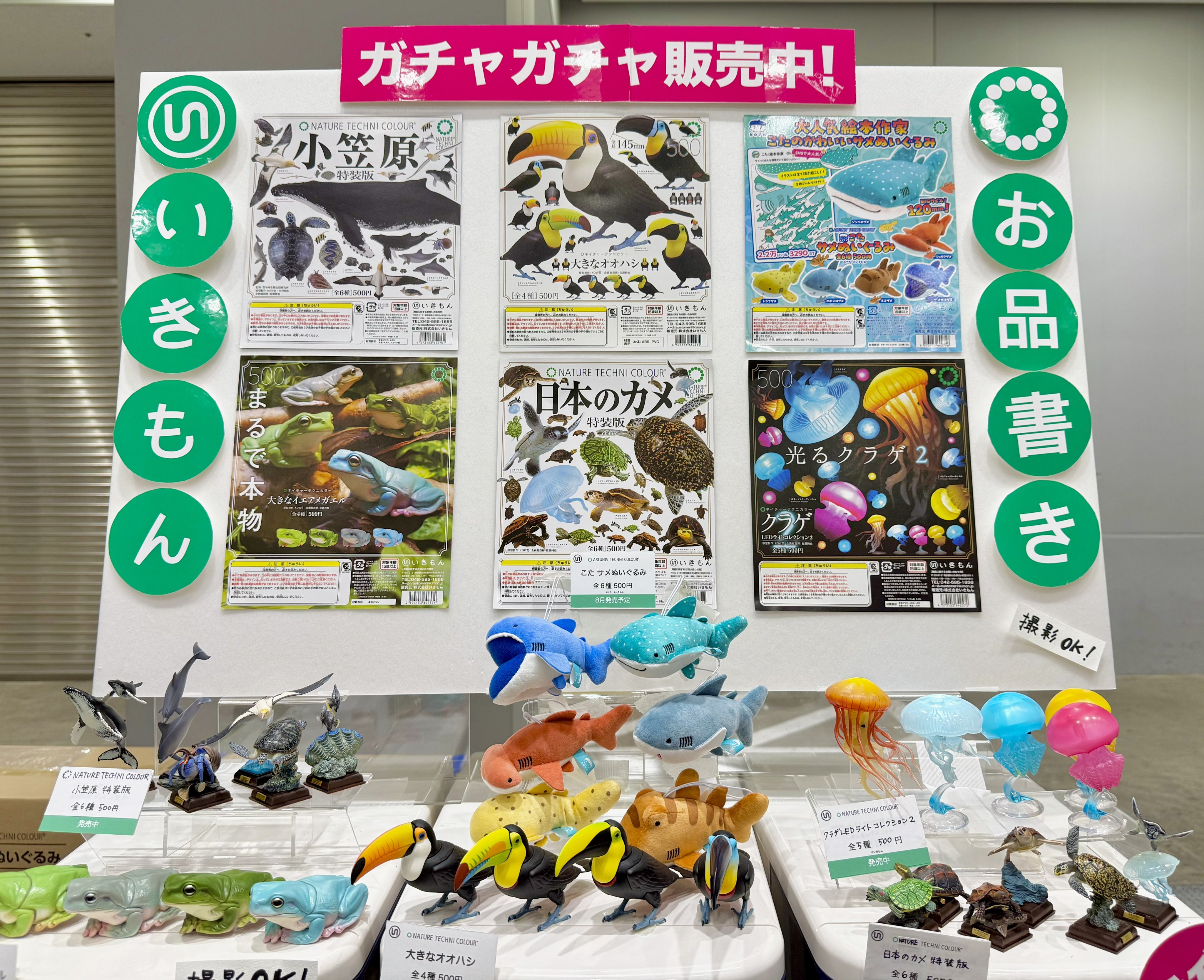 ネイチャーテクニカラー　台座シリーズ　まとめ 台座の商品一覧 – ネイチャーテクニカラー公式