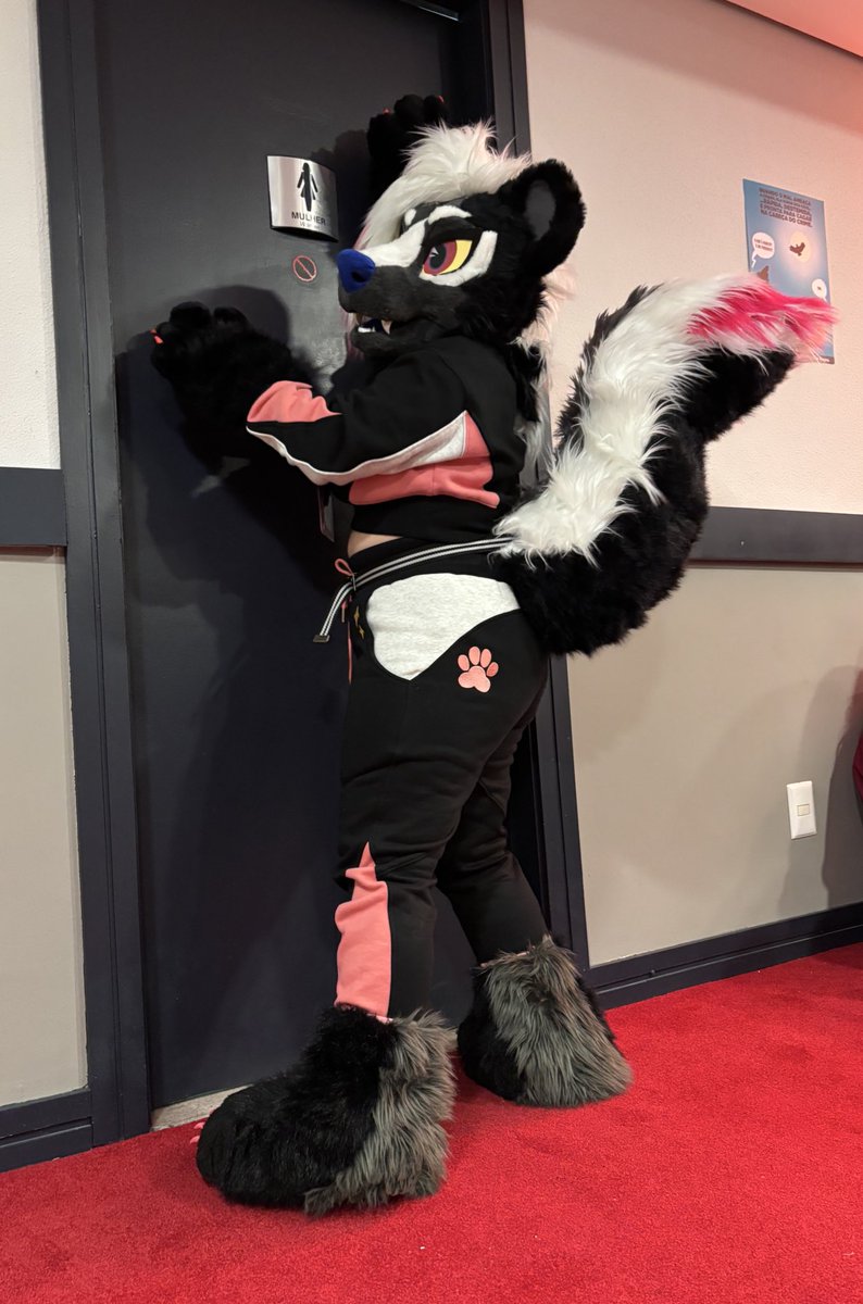 Paciuloo's tweet image. Debuting my skunk suit this weekend at #brasilfurfest2025