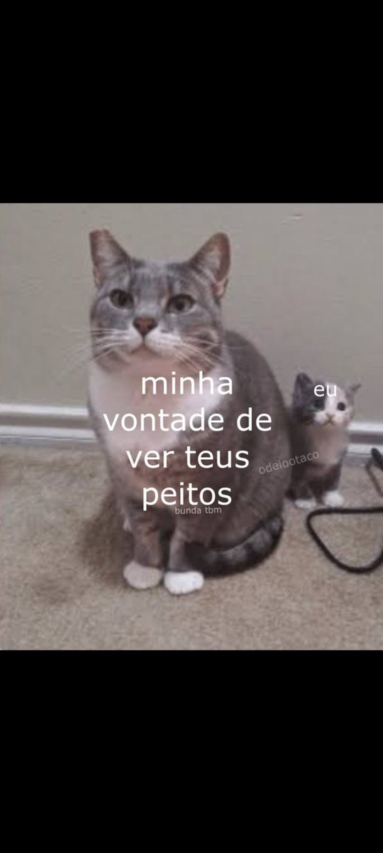 MSantos35014's tweet photo. 👀🥹🎁
#RABAAWARD 
#TROCONUDS
#PINTOAWARDS
#XOTAAWARDS
#PINTOSAWARDS 
#RABAAWARDS
#compropack
#compropacks 
#vendopacks
#vendopack https://t.co/7a52PdovXU