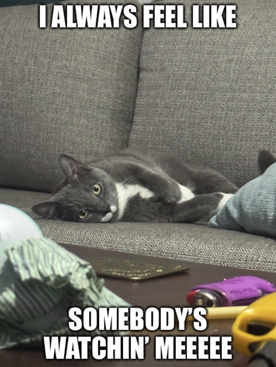 I swear every time I get that tingle down my spine, he’s right there 😂