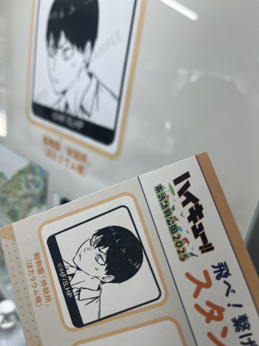 tousa_good's tweet image. このとびぉちゃん本当かわいい