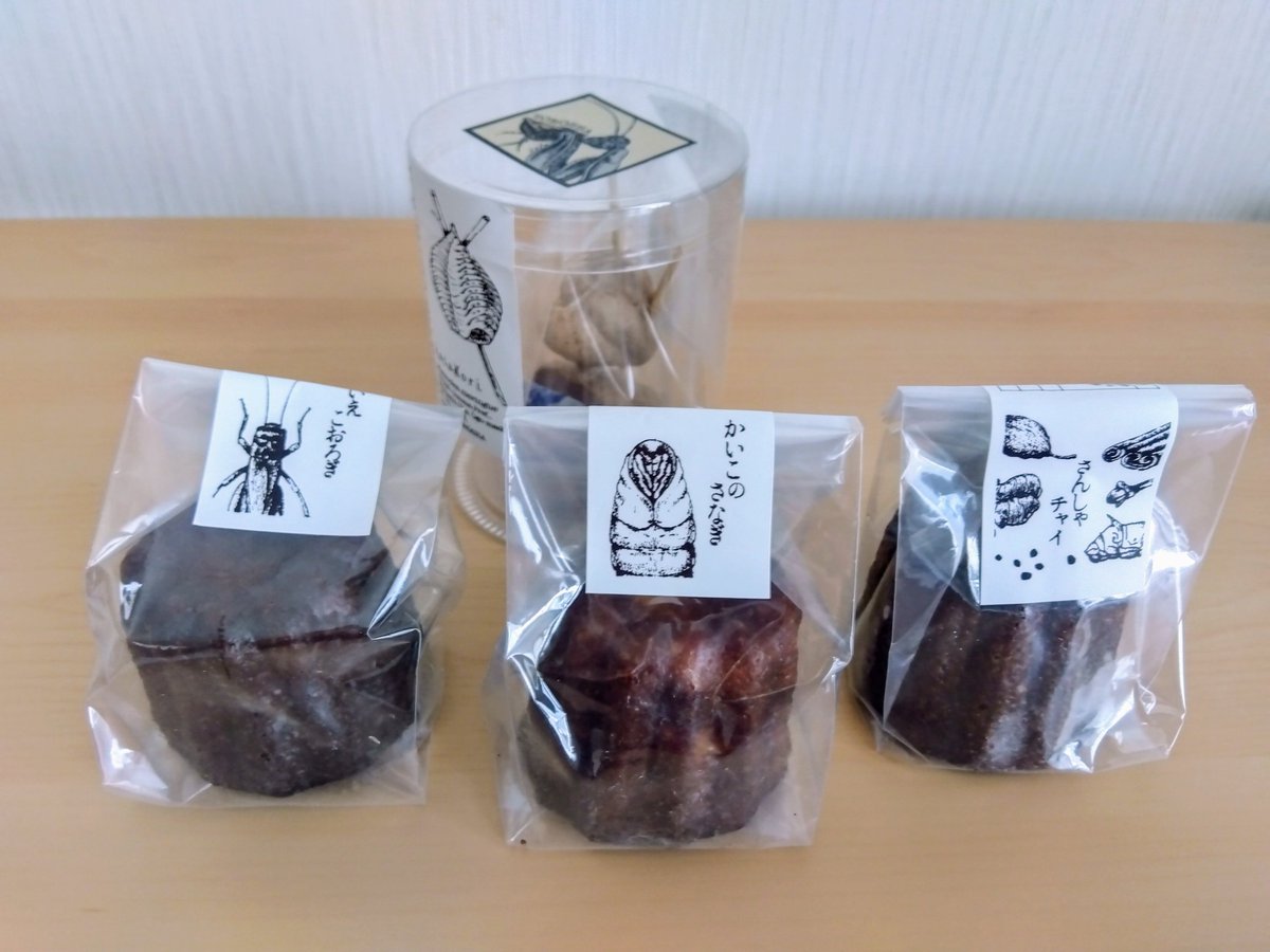 mushitori_aniki's tweet image. いつもお世話になっている灯螂舎さん(@tourousha )で購入
時間が遅めだったけど新作はギリギリ全種買えたのでセーフ😅
おまけの蚕沙茶と美味しくいだだきました😋
#インセクトポート東京