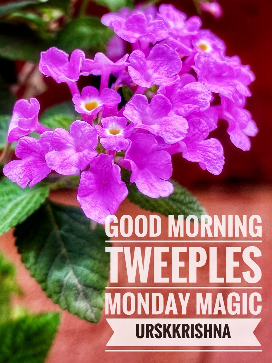urskkrishna's tweet photo. #GoodMorning #Tweeples
#MondayMotivation
#MondayMagic
#MorningBliss
#WeekdayBegins
#Bengaluru
#urskkrishna
🥰🥰🥰 https://t.co/TYERHom5pV