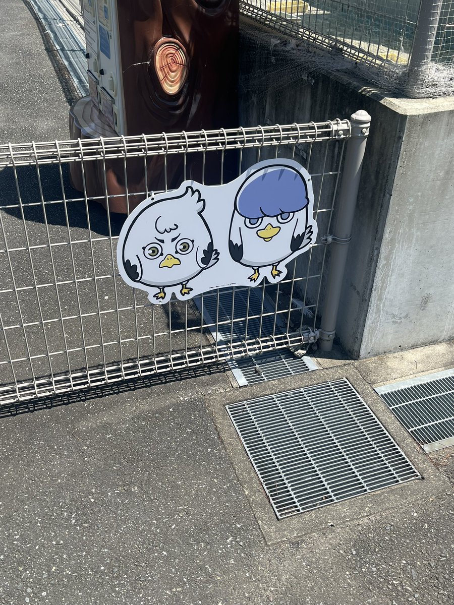 tousa_good's tweet image. かわよい