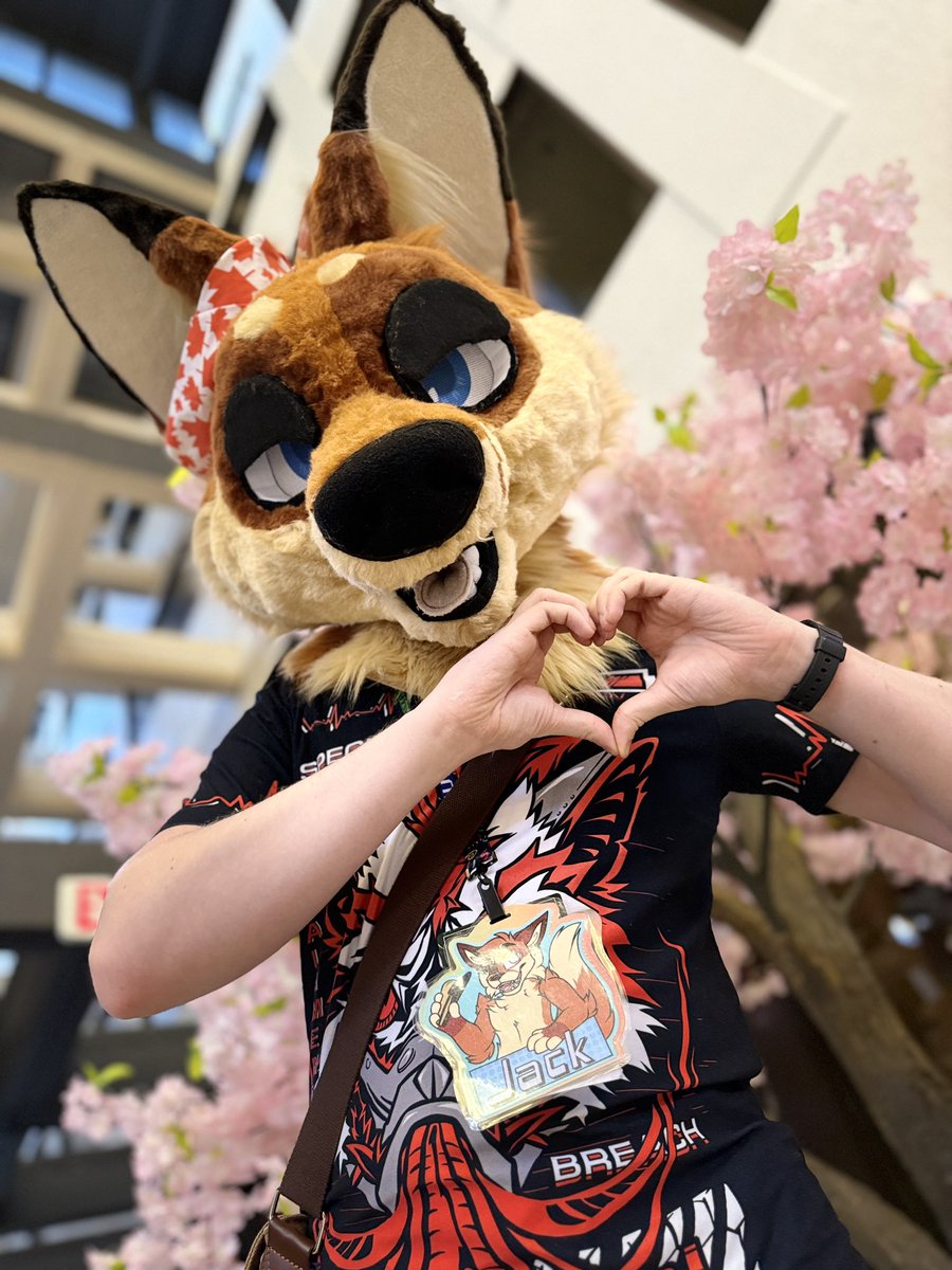 JackTheRedFox tweet media