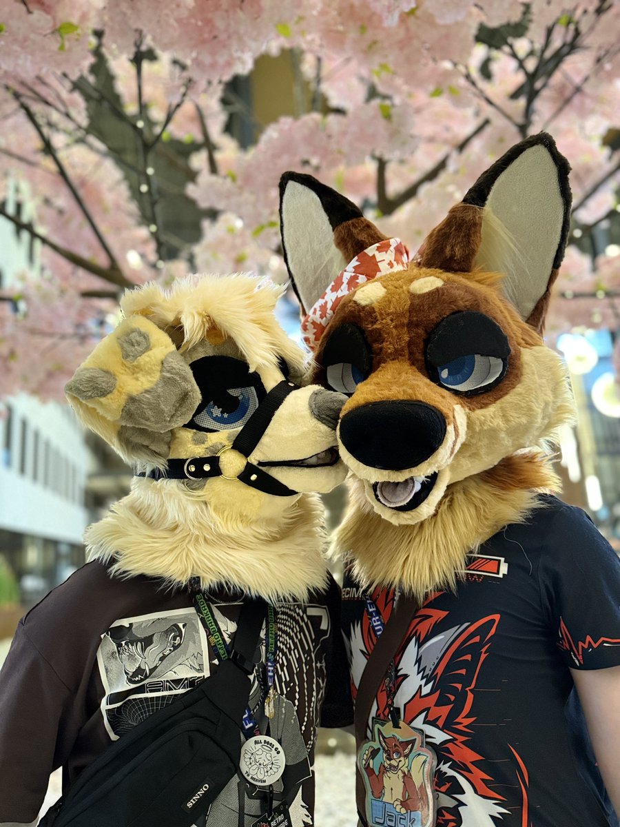 JackTheRedFox tweet media