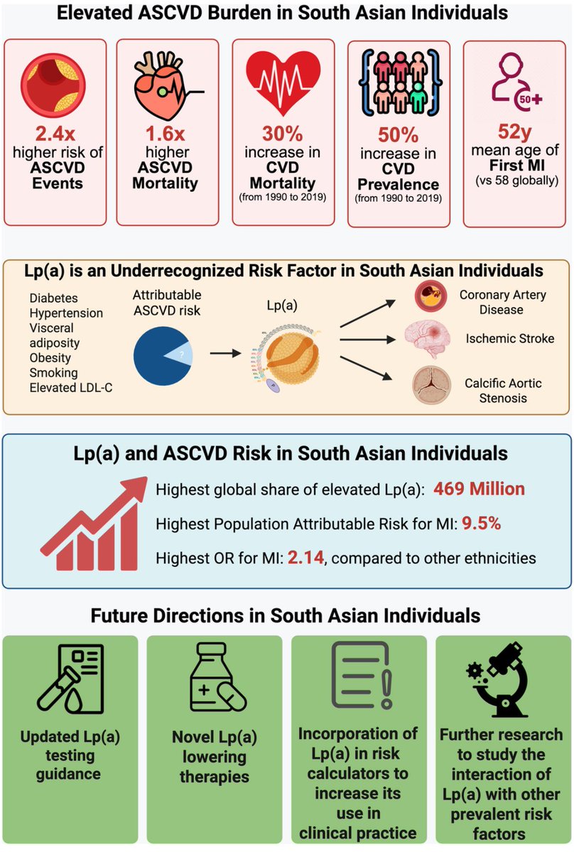 Jaideep (@jaideeppatelmd) on Twitter photo Happy to be a contributing author on this review discussing the role of Lp(a) in South Asian adults, led by <a href="/DineshKalra/">Dinesh Kalra, MD</a>
We review data on Lp(a) in mediating ASCVD, epidemiology in SA, screening guidelines, & meds to reduce Lp(a)/associated CVD risk
🔗 ahajournals.org/doi/10.1161/JA… Happy to be a contributing author on this review discussing the role of Lp(a) in South Asian adults, led by <a href="/DineshKalra/">Dinesh Kalra, MD</a>
We review data on Lp(a) in mediating ASCVD, epidemiology in SA, screening guidelines, & meds to reduce Lp(a)/associated CVD risk
🔗 ahajournals.org/doi/10.1161/JA…