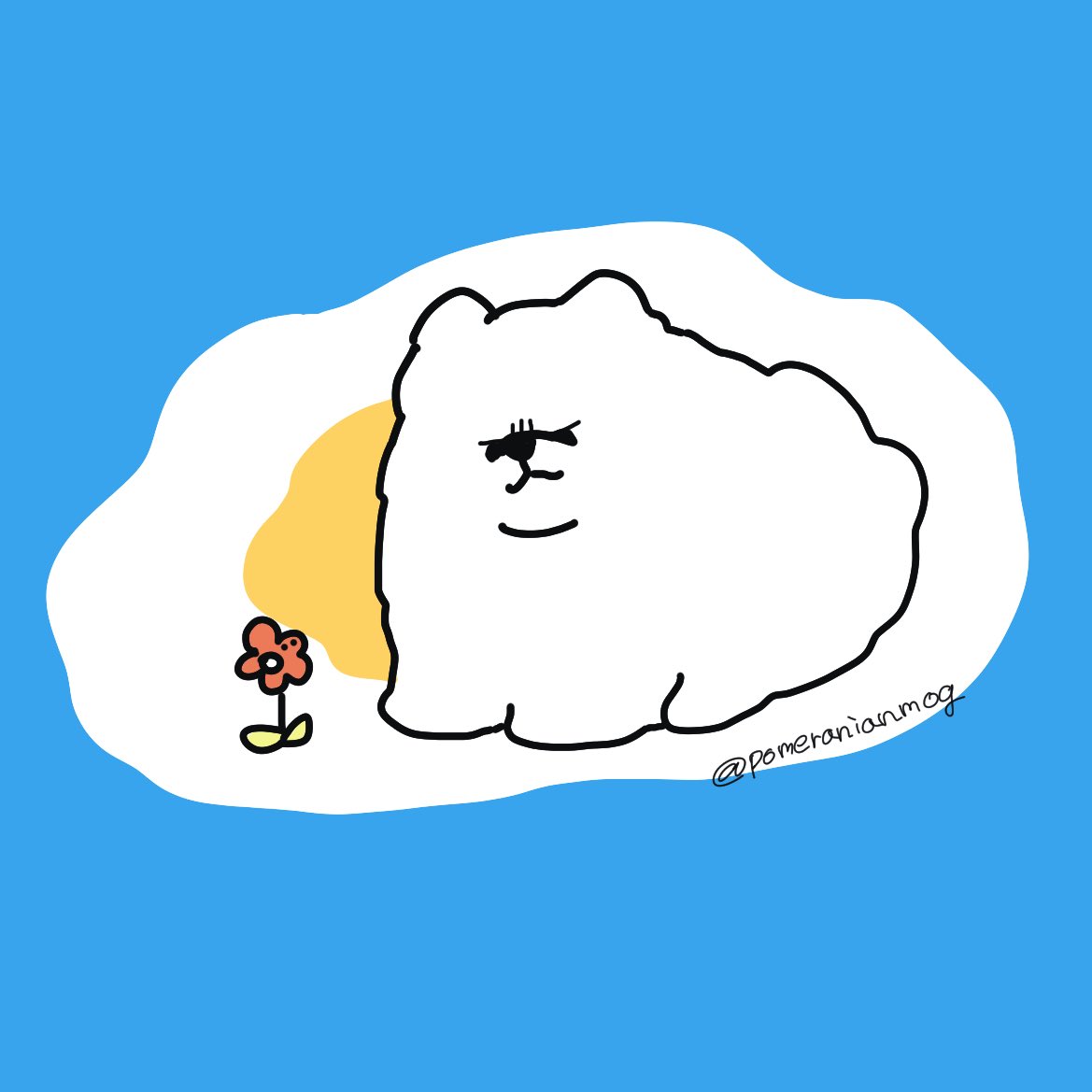 pomeranianmog's tweet image. おはようございます🍮